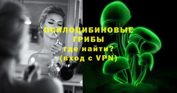 ПСИЛОЦИБИНОВЫЕ ГРИБЫ Нея