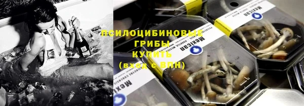 ПСИЛОЦИБИНОВЫЕ ГРИБЫ Нея