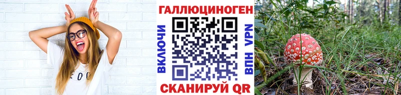 Псилоцибиновые грибы Psilocybine cubensis Новотитаровская